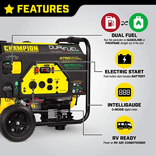 Champion Power Equipment 76533 4750/3800-Watt Dual Fuel RV Ready Portable Generator with Electric Start