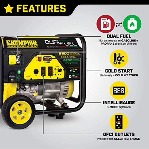 Champion Power Equipment 100231 6900/5500-Watt Dual Fuel Portable Generator with Wheel Kit