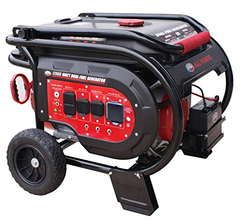 All Power G10000EGL - 10,000 Watt Starting Power Generator Dual Fuel JD Engine Electric Start Portable Generator Relaunched Style