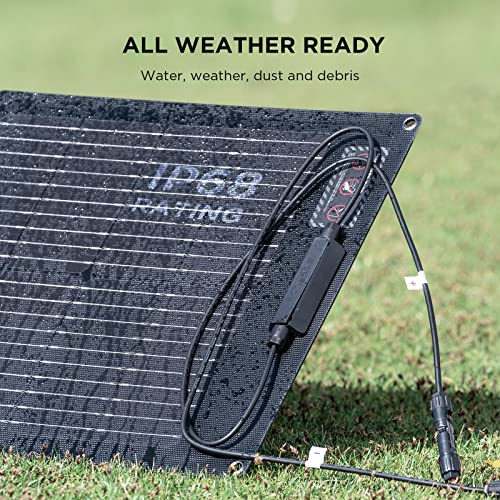 EF ECOFLOW 110W Portable Solar Panel, Foldable with Carry Case, High 23% Efficiency, IP68 Water & Dustproof Design for Camping, RVs, or Backyard Use