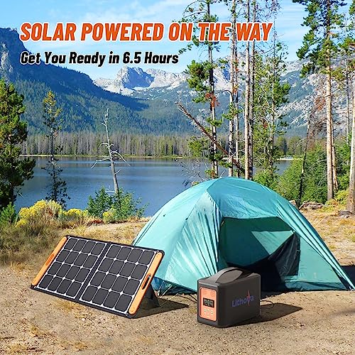 1000W Portable Power Station, 921Wh Solar Generator with 10 multi-ports, 110V pure sine wave AC outlets(2000W Peak), PD Fast Charging Power Bank for Camping/RVs/Home Use (Not with Solar Panel)