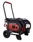 All Power, G10000E - 10,000 Watt Starting Power Generator Dual Fuel JD Engine Electric Start Portable Generator Relaunched Style